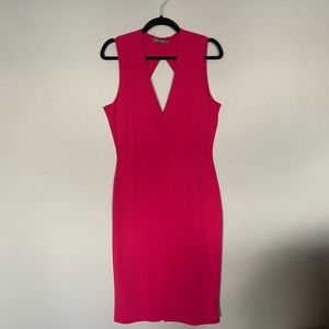 Pink Fitted Dress - Open Back